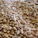 Nettoyeur à céréales (le blé) 