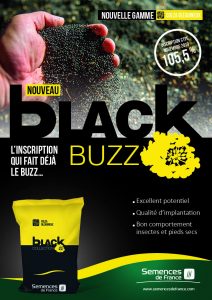 BLACKBUZZ