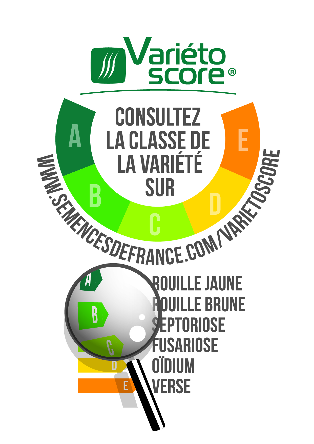 varietoscore