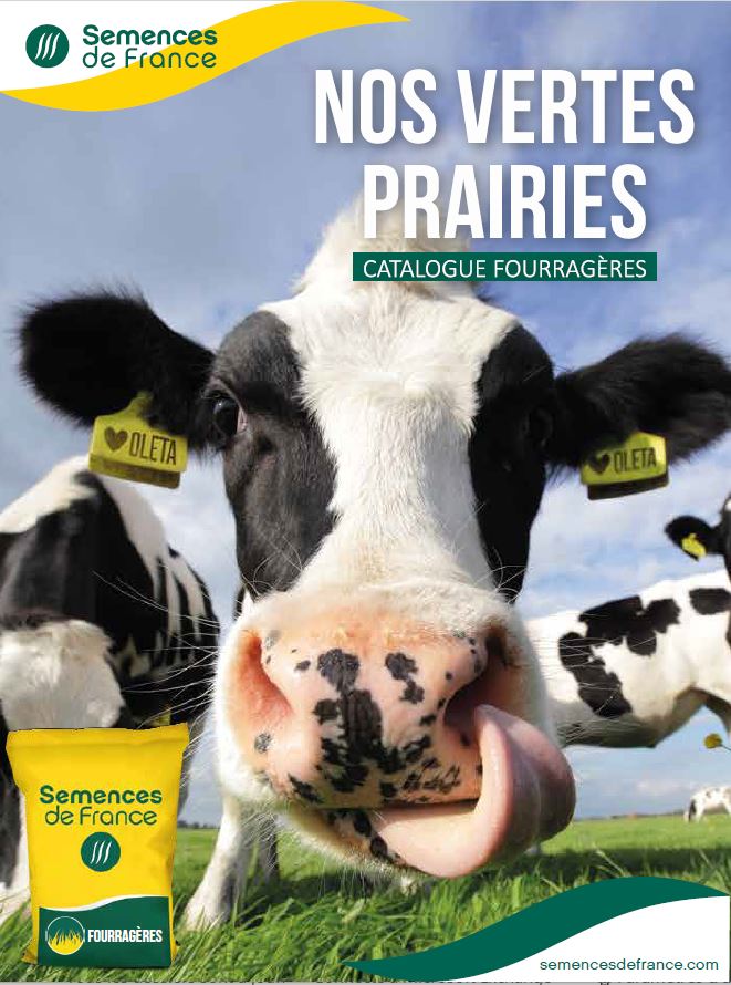 Couverture Vertes prairies 2024